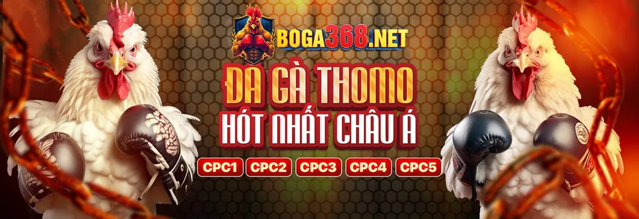 Giao dịch an toàn 6686bet App